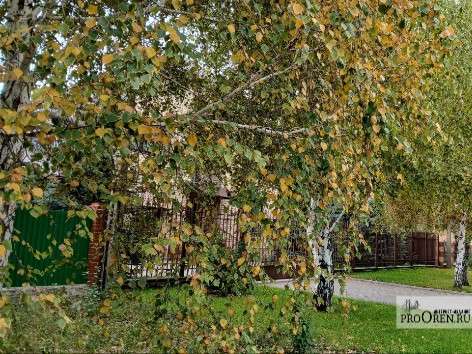 Сегодня в Оренбурге дождливо и до +12°С