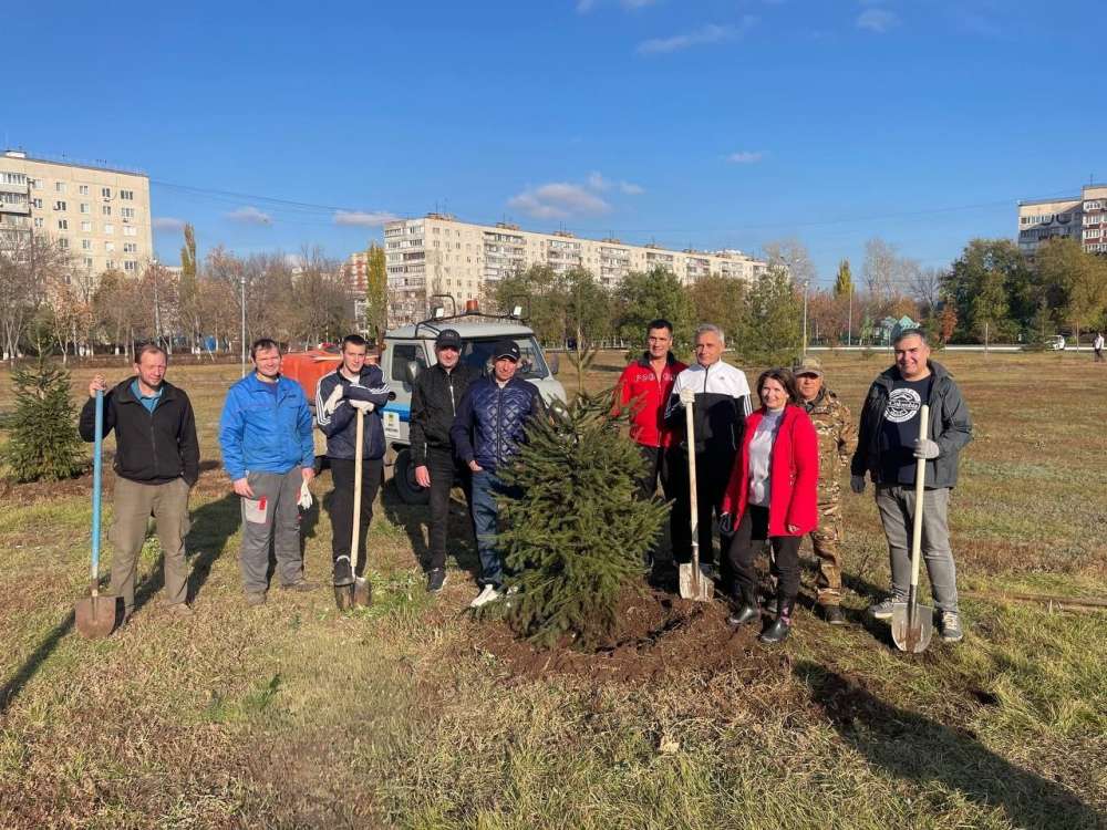 В Оренбурге с начала осени высажено более 800 новых деревьев