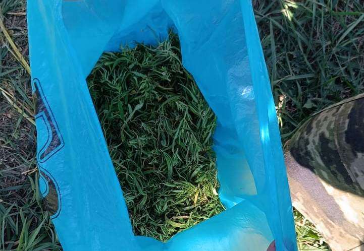В Оренбуржье у жителя Самарской области изъяли 46 граммов марихуаны