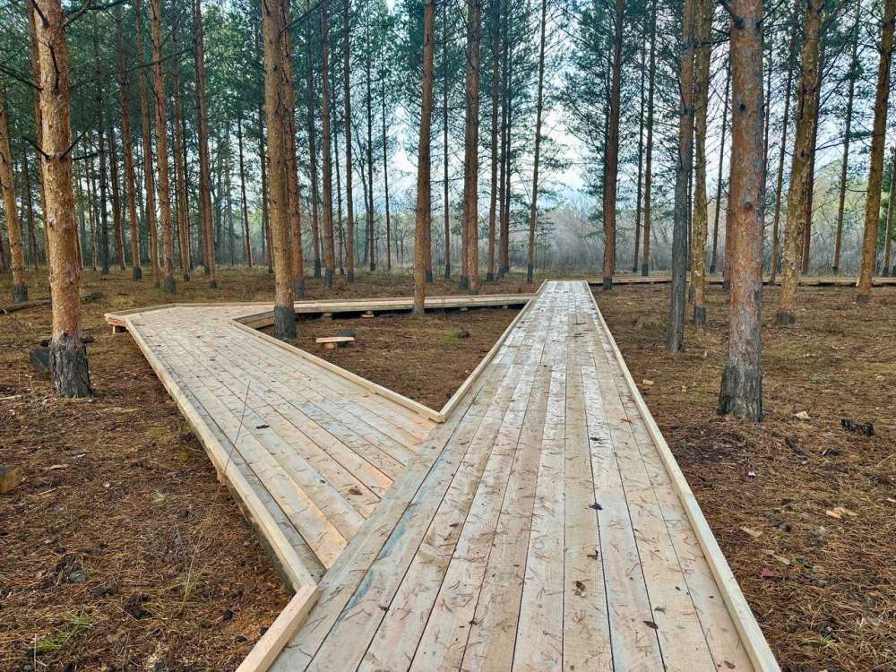 В Дендросаду Бузулукского бора продолжается строительство новой тропы