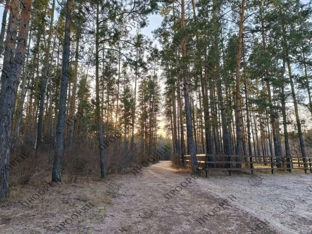 Сегодня в Оренбурге облачно и туманно