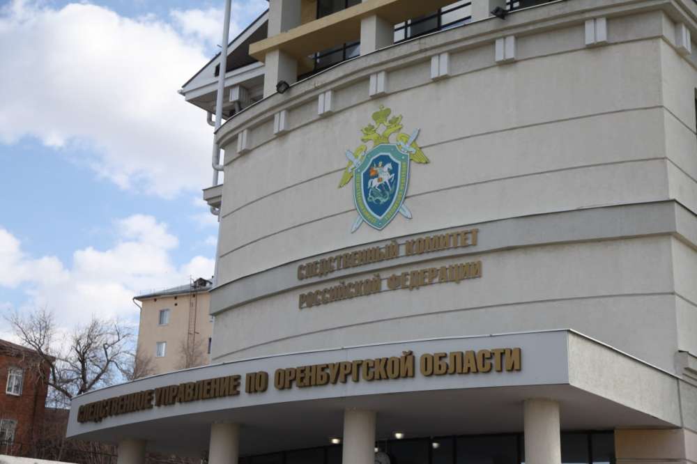 В Оренбурге упавшее дерево серьезно травмировало молодую девушку. Бастрыкин потребовал доклад