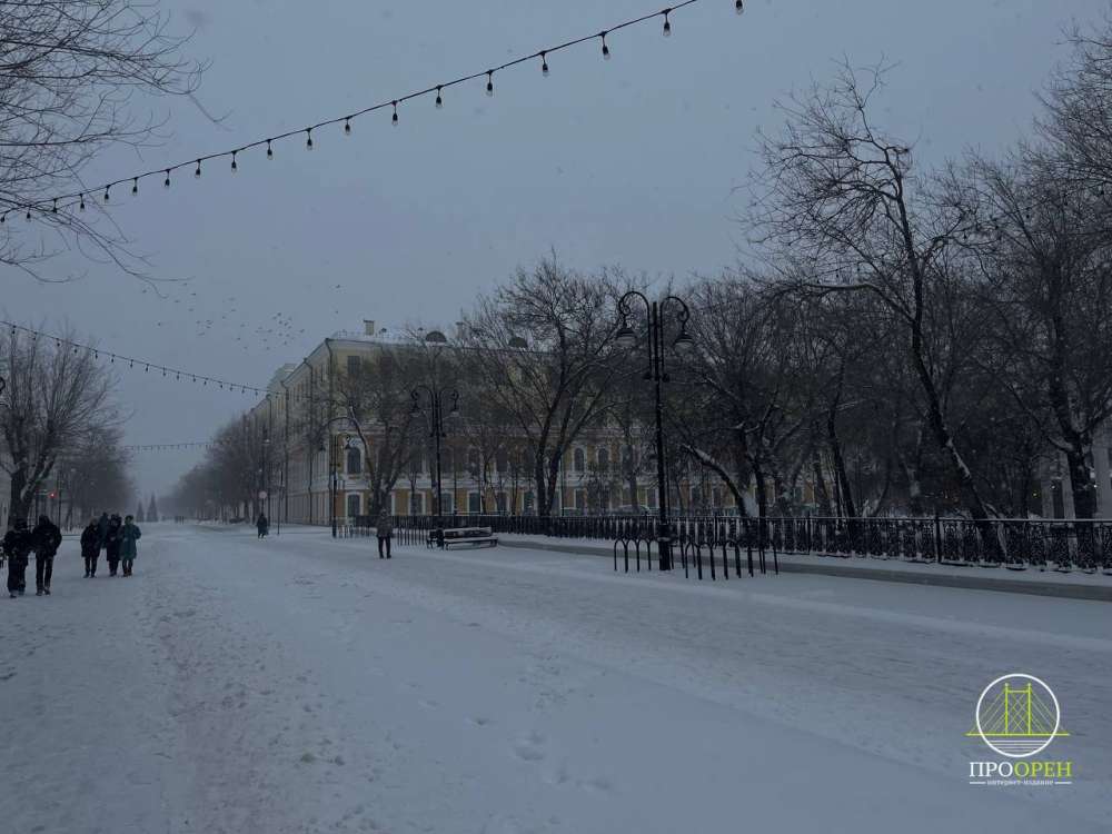Сегодня в Оренбуржье ожидаются туман и сильный снег