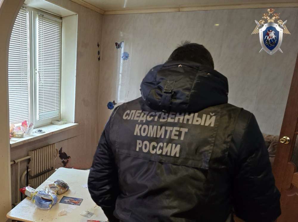 В Орске задержан 38-летний мужчина, подозреваемый в убийстве матери обухом топора