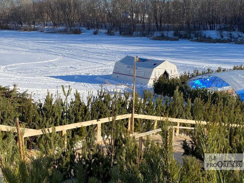 Опрос SuperJob: 16% оренбуржцев планируют окунуться в ледяную воду на Крещение