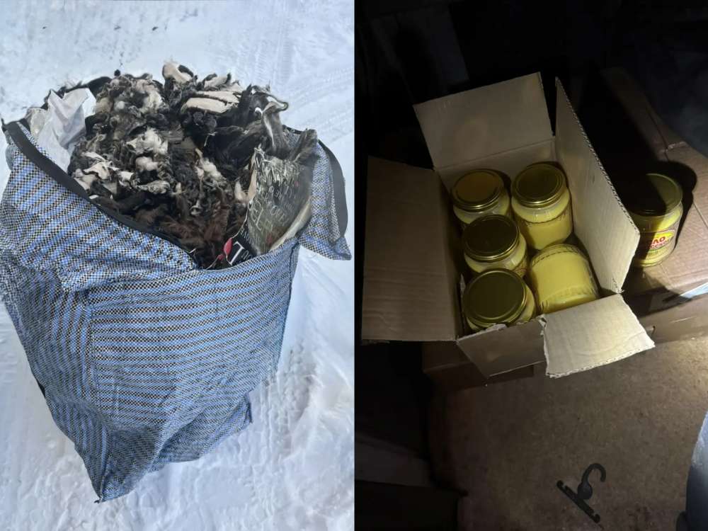 255 овечьих шкур и 90 кг масла не пропустили через границу в Оренбуржье