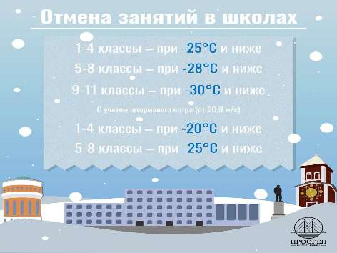 В Оренбурге из-за мороза некоторые школы отменили очные занятия