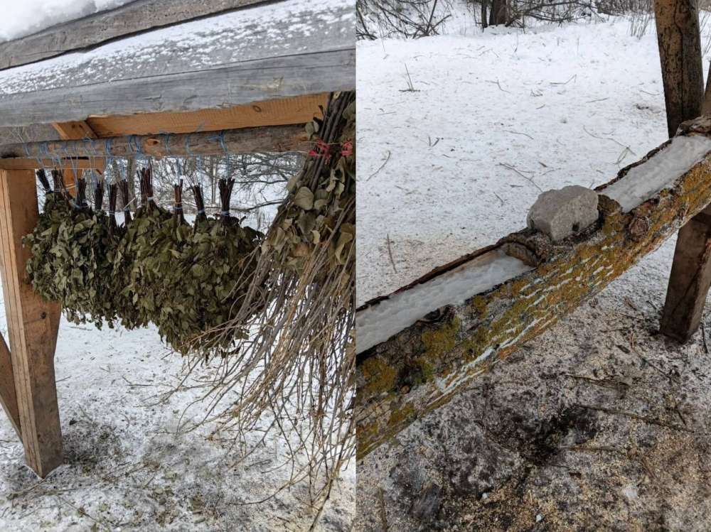 В Бузулукском бору организована зимняя подкормка диких животных