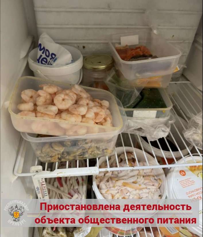 В Оренбурге из-за нарушений приостановили работу сервиса доставки «EDDOK»