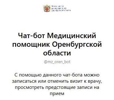Жители Оренбургской области смогут записаться на прием к врачу через Мах