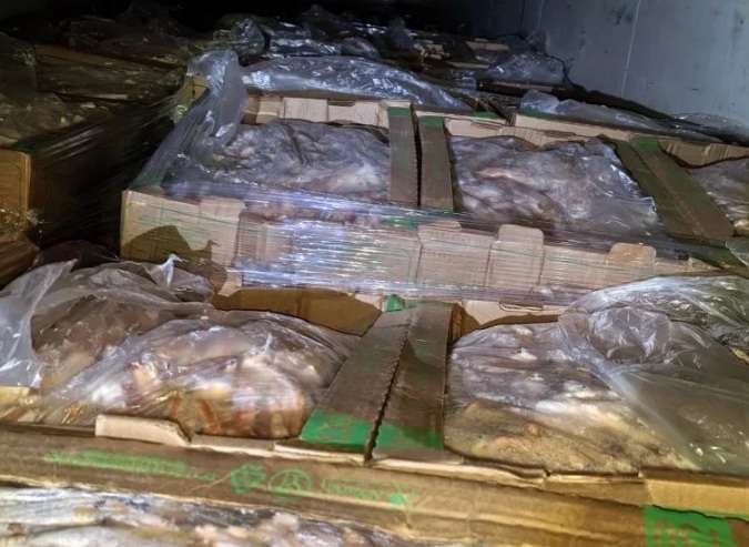 В Оренбуржье пресекли попытку незаконного ввоза 17 тонн куриных лап из Казахстана
