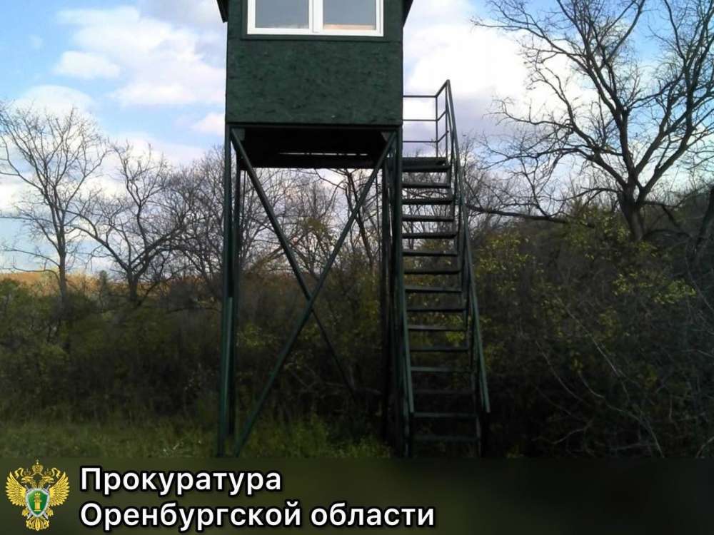 В Оренбуржье отменили аренду лесного участка и вернули землю государству