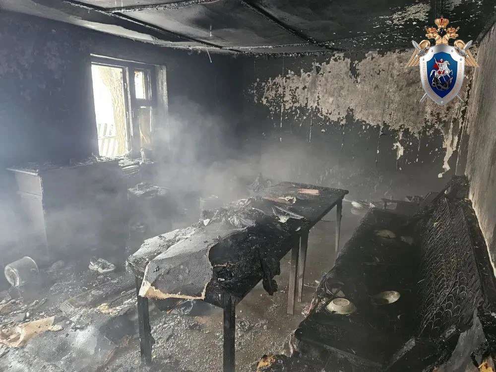В Первомайском районе мужчина убил знакомого телевизором и сжег его дом 