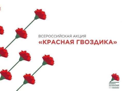В Оренбуржье стартует акция «Красная гвоздика»: как и где можно помочь ветеранам