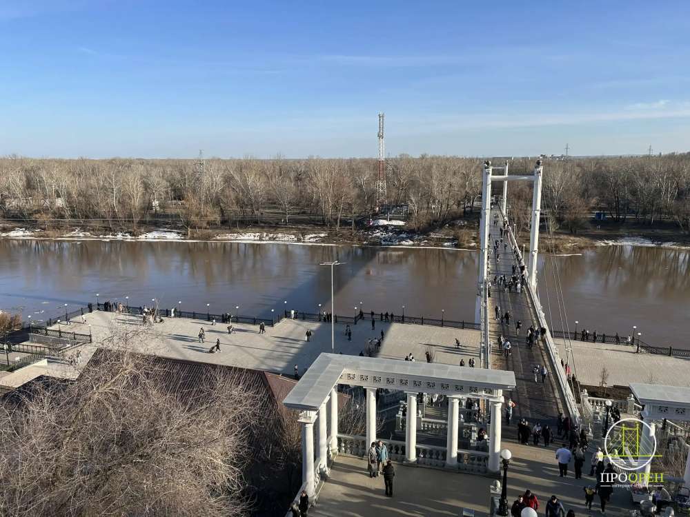 В Оренбурге мужчина спрыгнул в Урал с моста