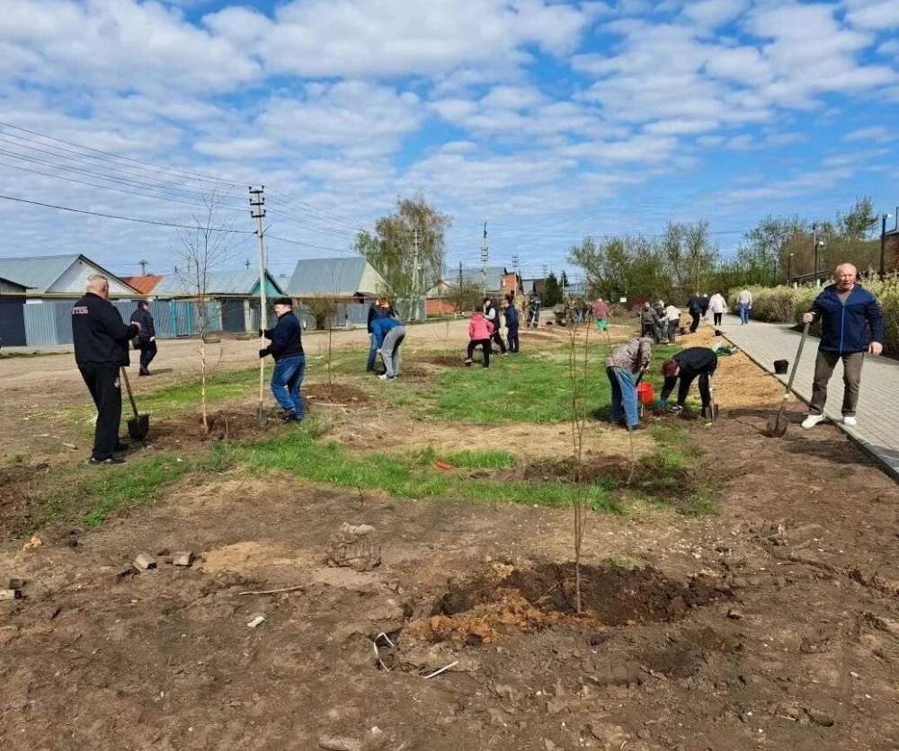 70 деревьев в честь героев: в Бузулуке заложили Аллею ветеранов
