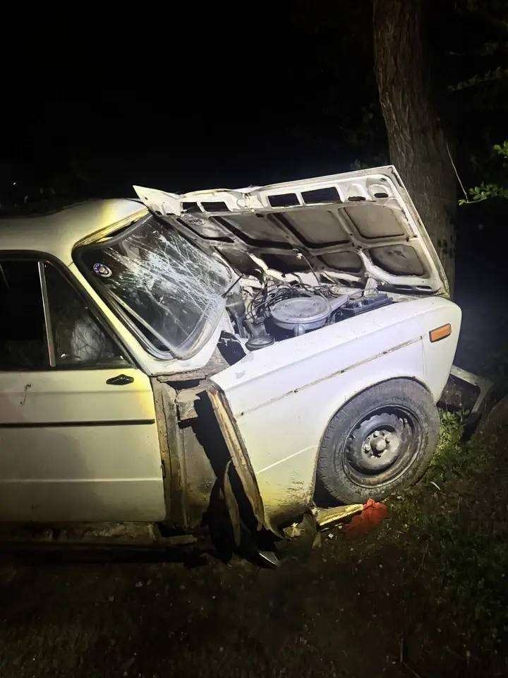 В Переволоцком районе пьяный подросток на ВАЗе врезался в дерево 