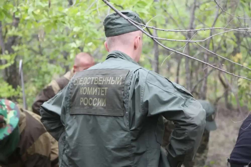  Двое погибших на пожаре в Сорочинском округе — следователи начали проверку