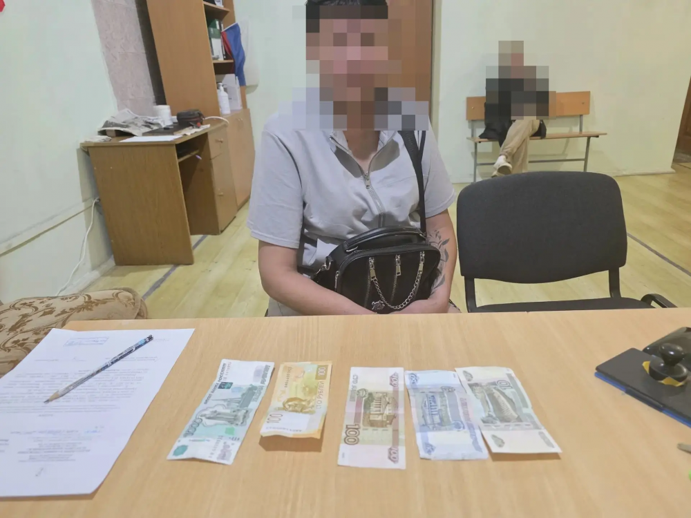 Жительница Новоорского района ограбила магазин и напала на продавца