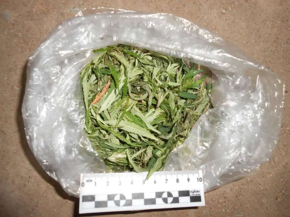 В Бузулуке у 32-летнего мужчины изъяли 22 грамма марихуаны