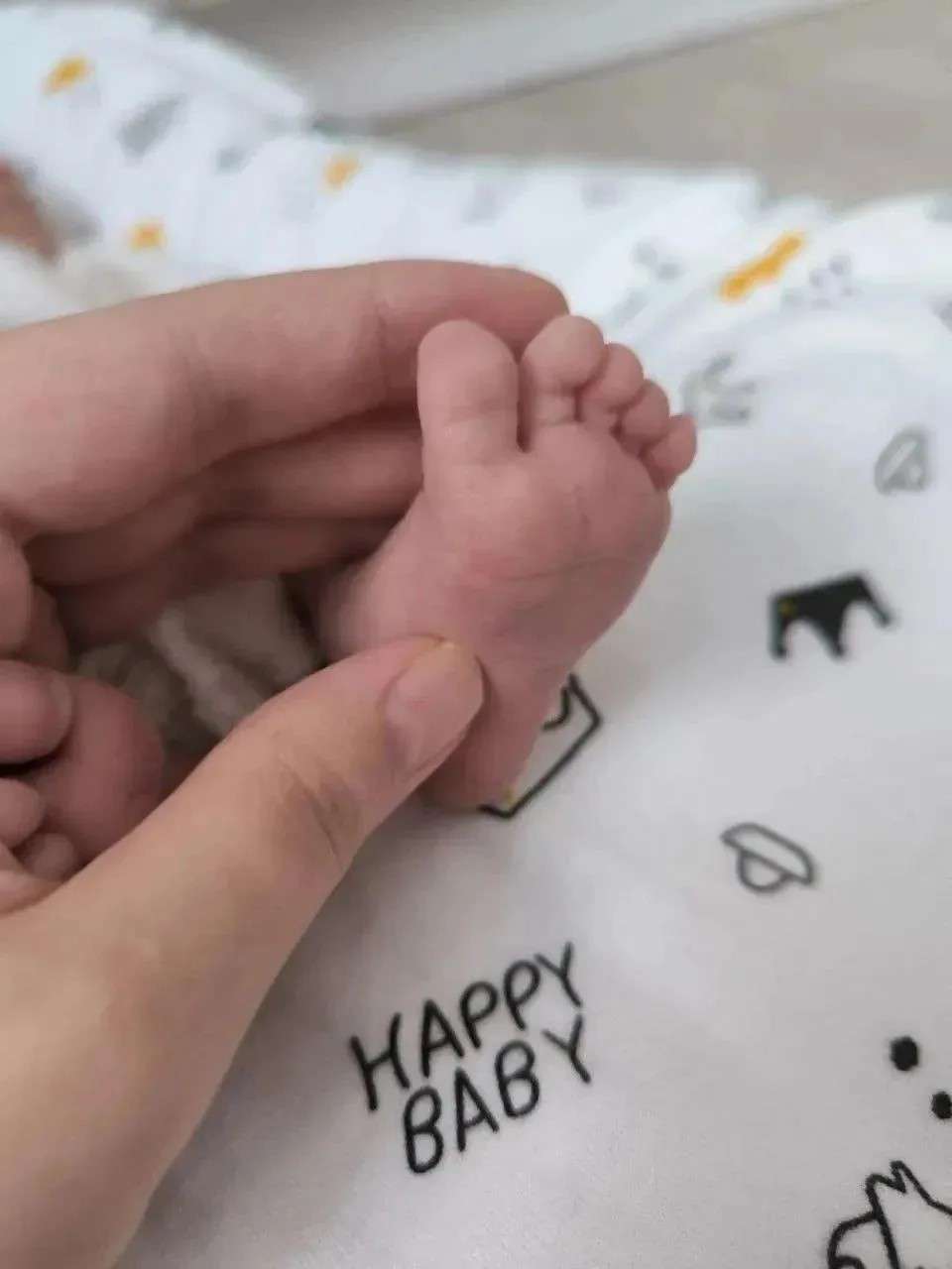  В День семьи, любви и верности в Оренбуржье родились 39 малышей