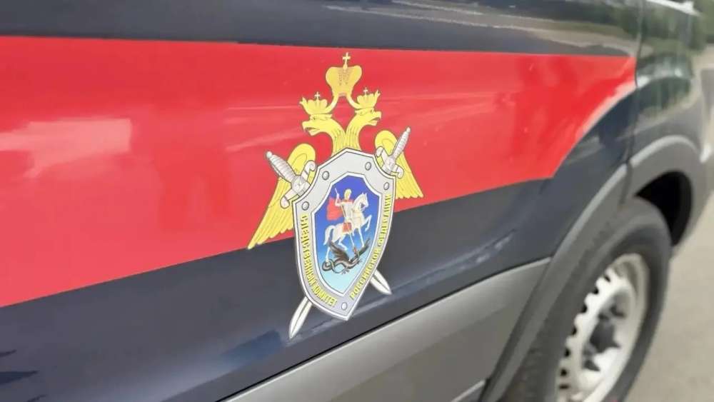  Обманули участника СВО и напали на полицейского: в Оренбуржье будут судить ОПГ