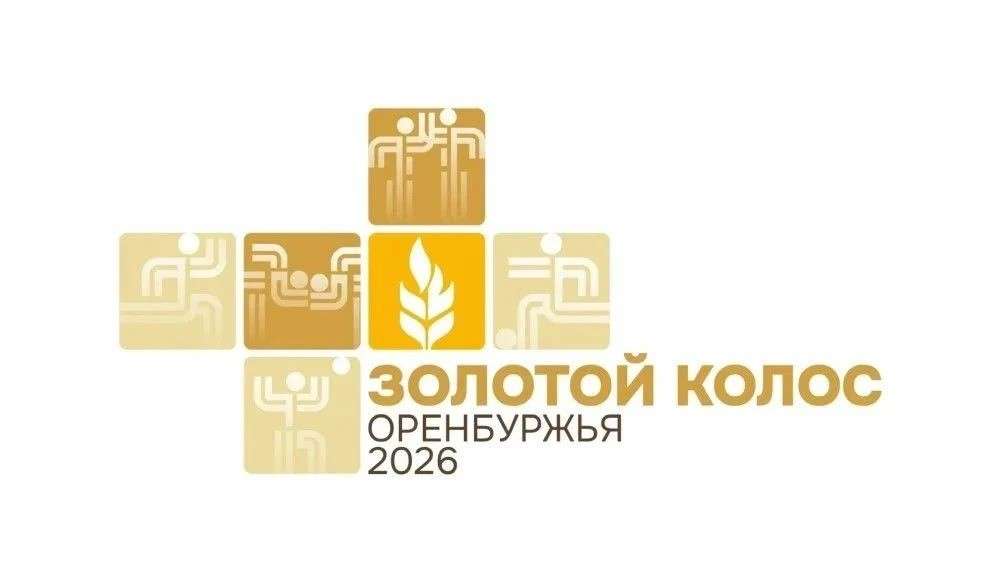 За медали и звание сильнейших: Оренбуржье готовится к финалу сельских спортивных игр