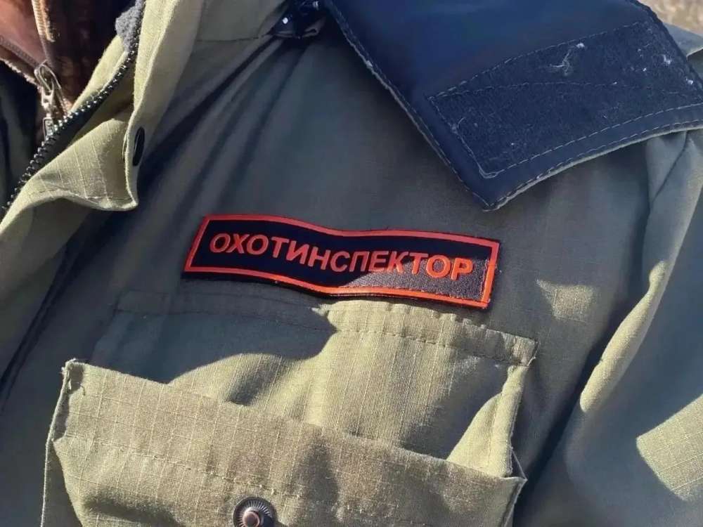 В Оренбуржье проходят рейды в охотугодьях