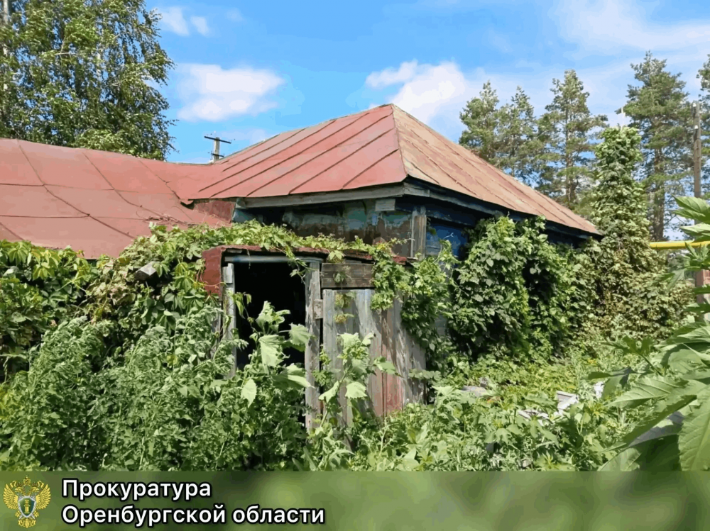 В Оренбуржье перед судом предстанет пенсионерка за убийство знакомой из‑за продуктов