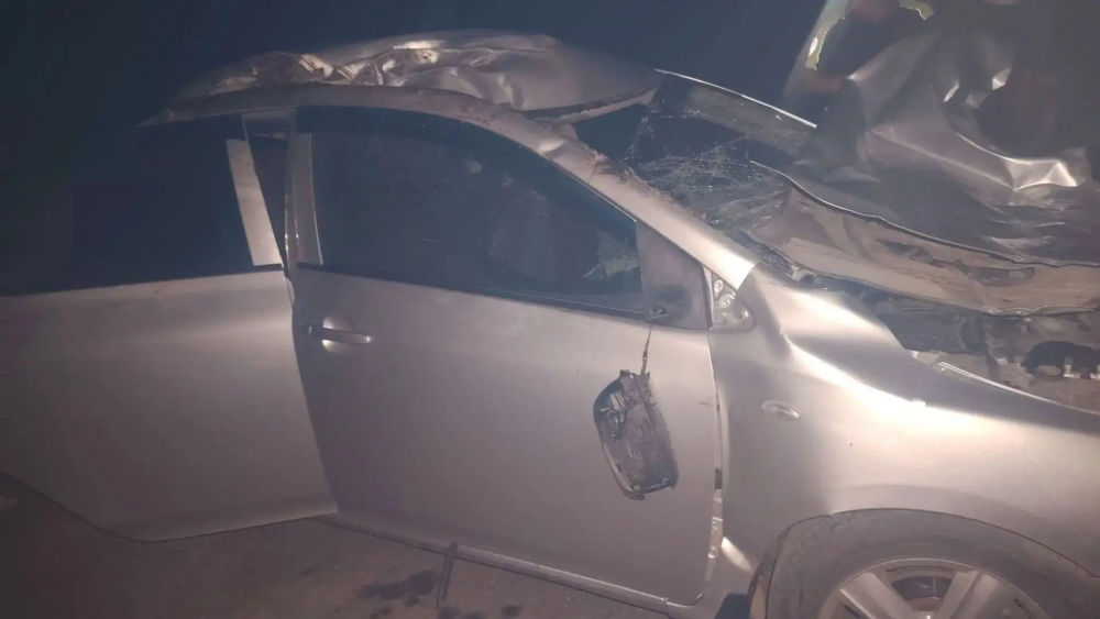 В Первомайском районе автоледи получила травмы после наезда на лошадь