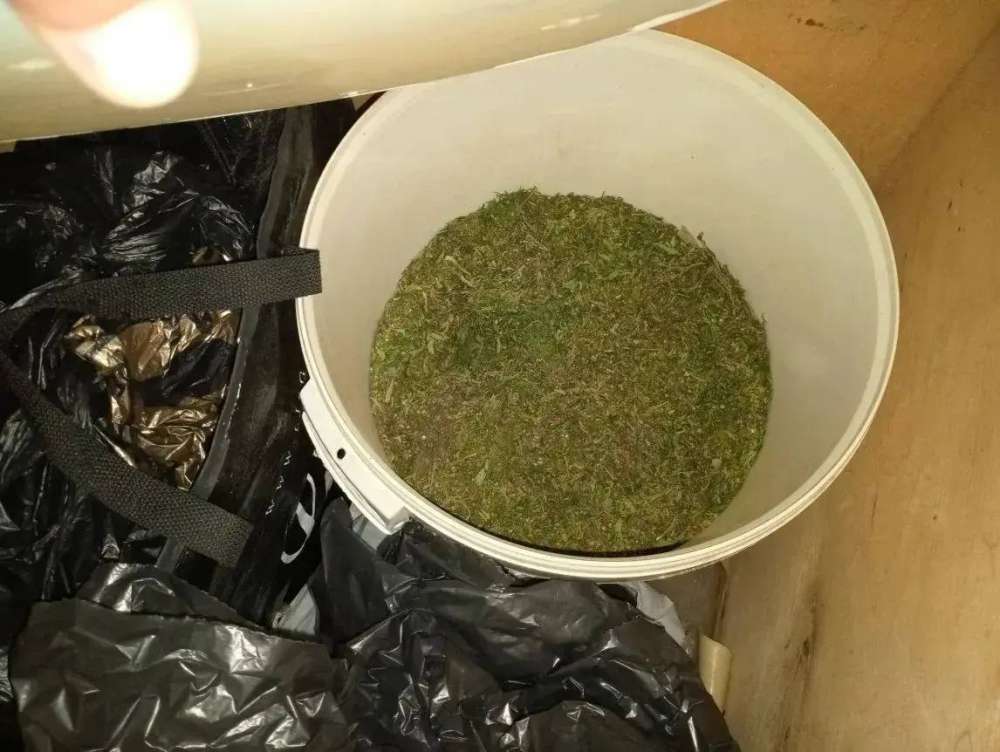 В Бугурусланском районе у мужчины изъяли более 2 кг марихуаны