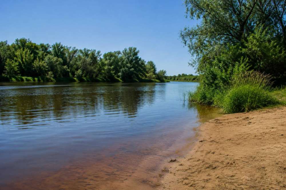 Трагедия на воде: в Новоорском районе погибла женщина