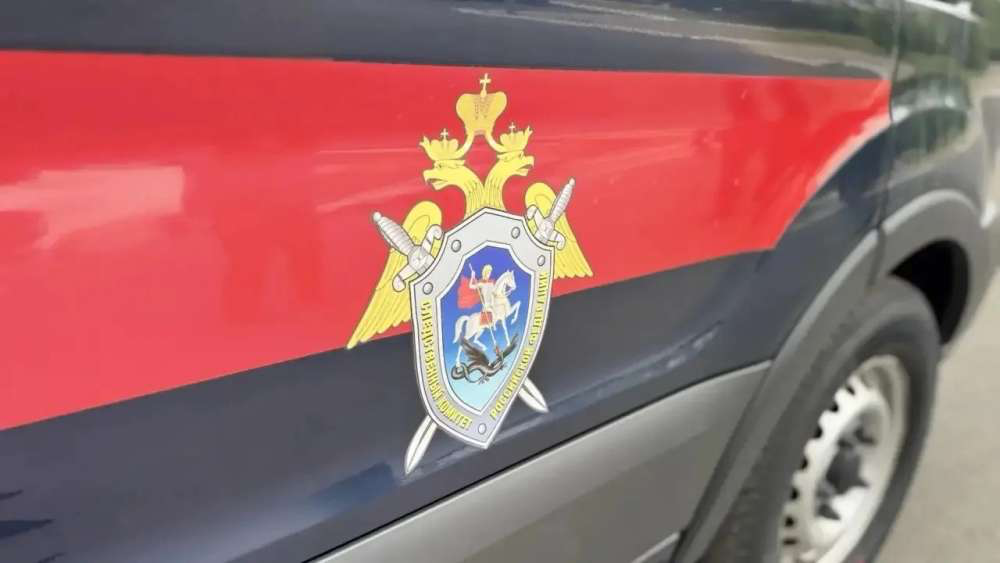 В Оренбуржье мужчина до смерти забил женщину штыковой лопатой