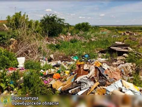 Прокуратура заставила убрать нелегальную свалку в Грачевском районе
