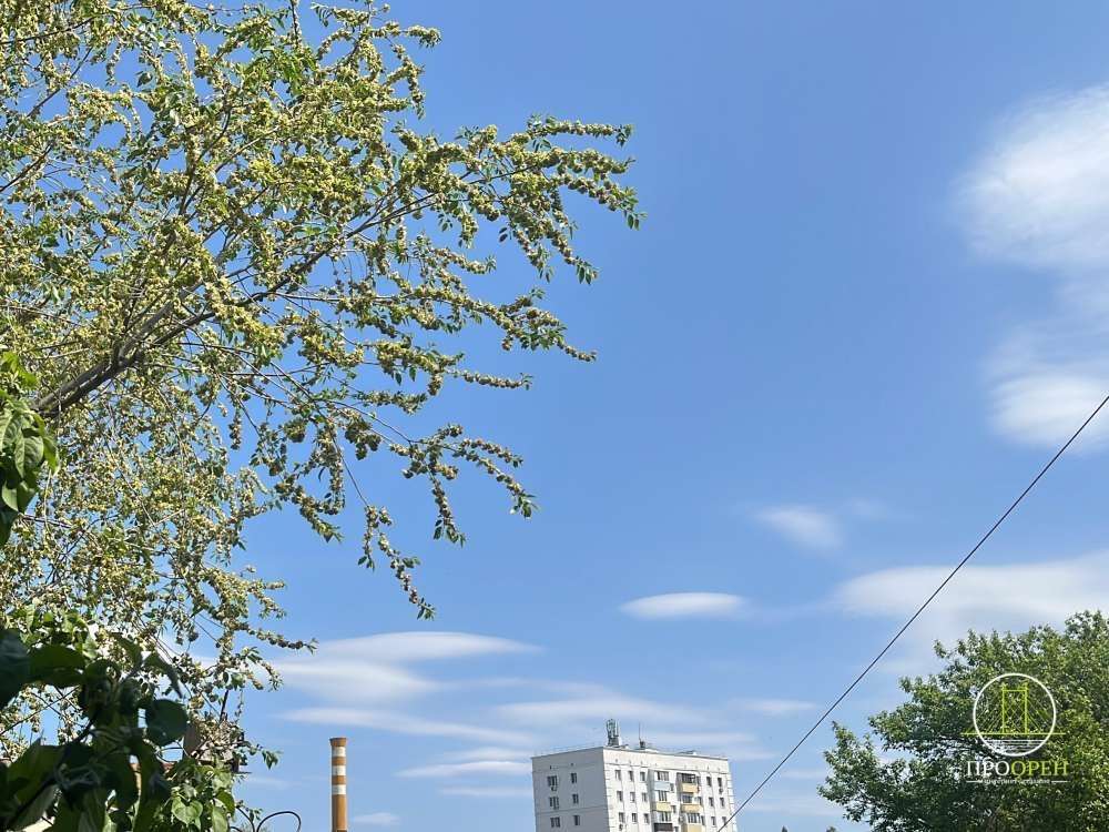 Оренбуржье подверглось атаке вражеских БПЛА. Уже сбито 8 беспилотников