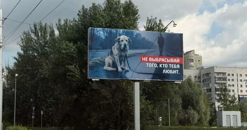 В Оренбурге запустили социальную рекламу об ответственном отношении к животным