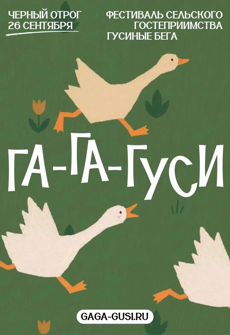 «Га-га-гуси» возвращаются: в Оренбуржье пройдёт второй фестиваль с гусиными бегами