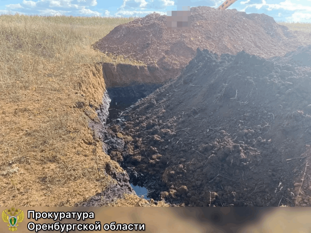 В Красногвардейском районе нефтедобытчика обязали рекультивировать землю после разлива нефти