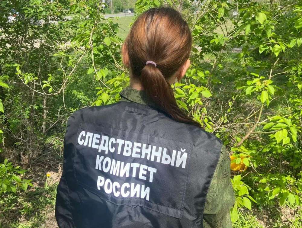 В Бузулукском районе погиб электромонтёр: возбуждено уголовное дело