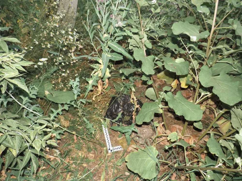 Жительницу Саракташа задержали при попытке сбыть марихуану