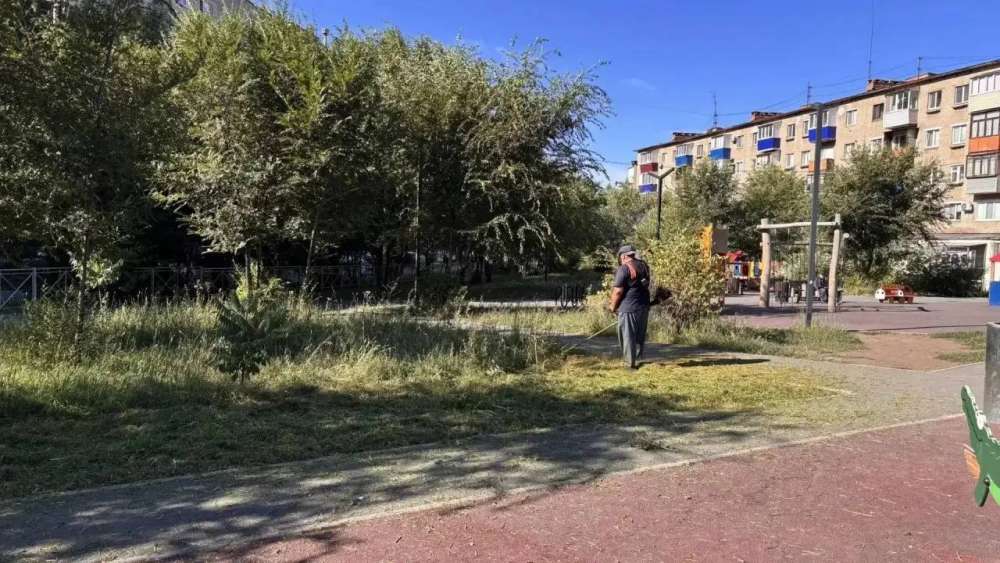 В Новотроицке косят траву и проводят обрезку деревьев