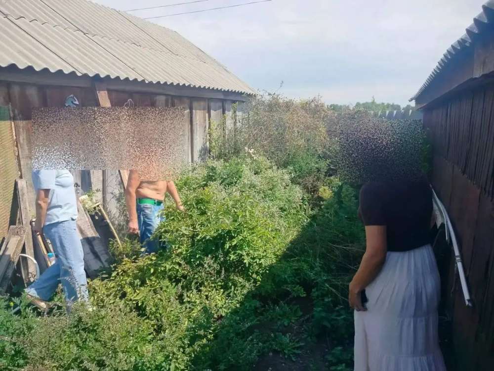 Почти 270 граммов конопли изъяли полицейские у жителя Саракташского района
