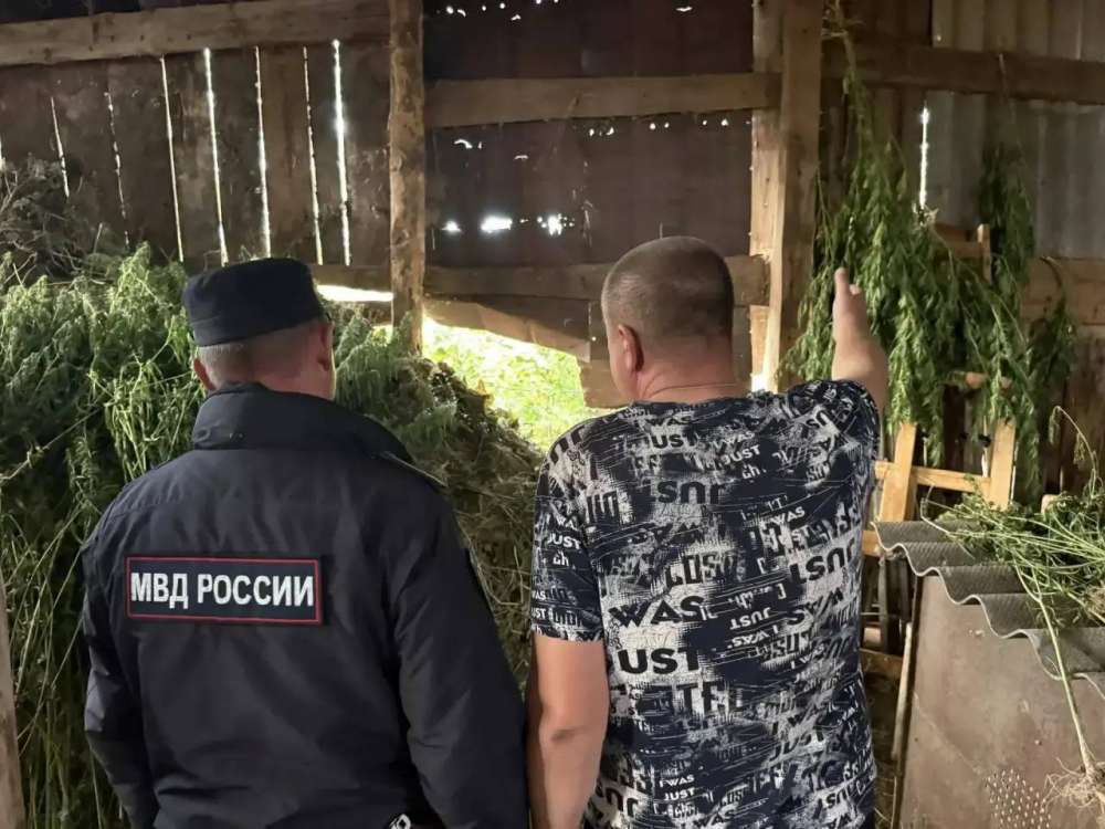 Более 10 килограммов конопли изъяли полицейские у жителя Переволоцкого района