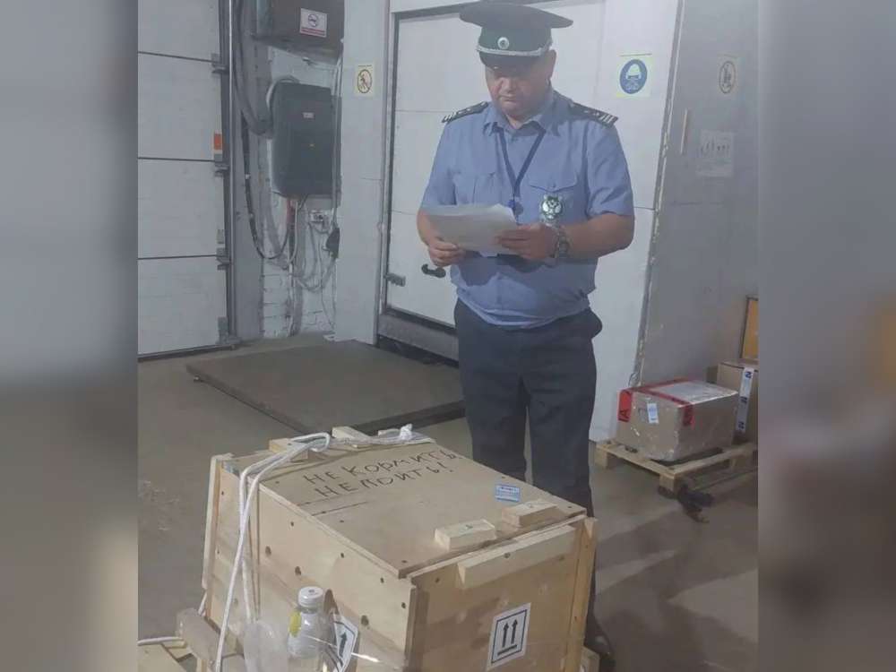 В Оренбург прибыла капибара: животное проверили специалисты Россельхознадзора