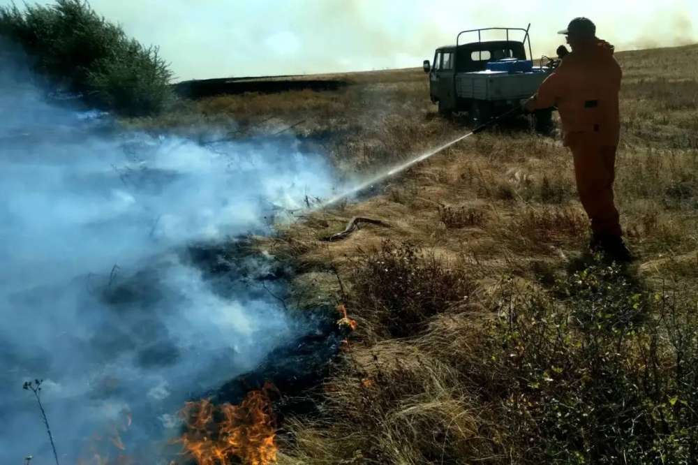 В заповеднике «Оренбургский» рассказали, как пережили пожары