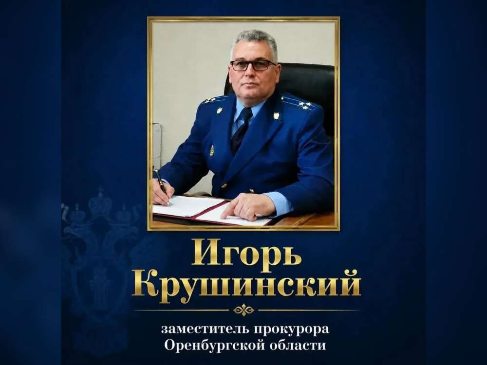 29 сентября зампрокурора Оренбуржья проведет прием участников СВО и их семей