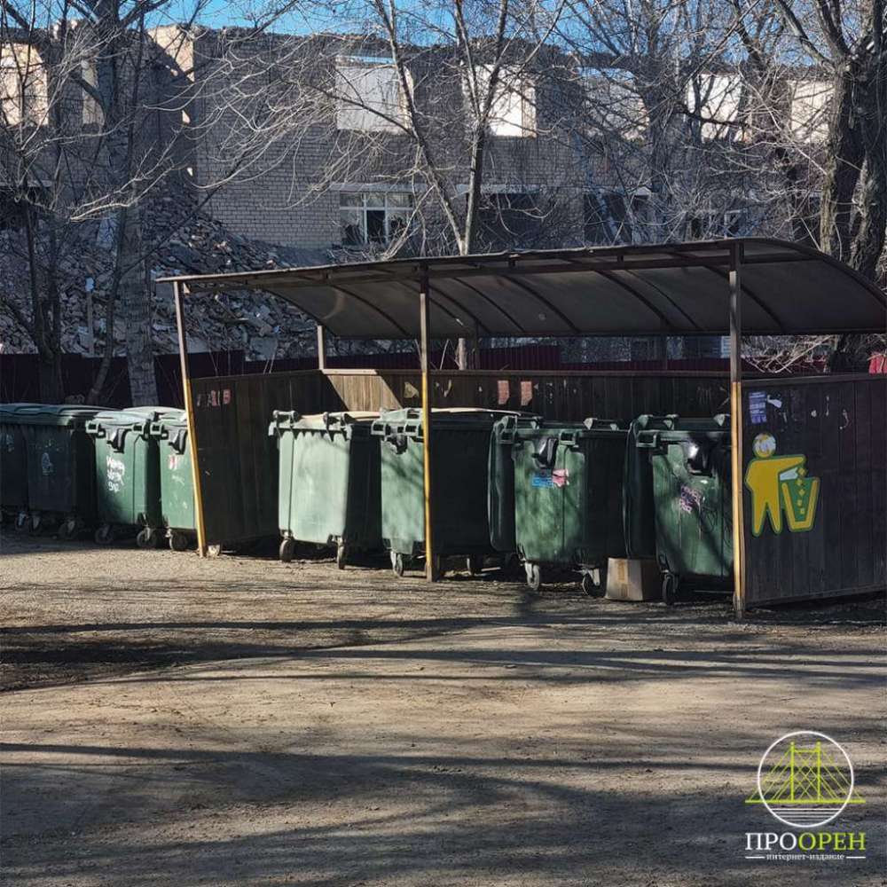 Штрафы до 250 тысяч рублей: оренбуржцам напомнили правила утилизации отходов