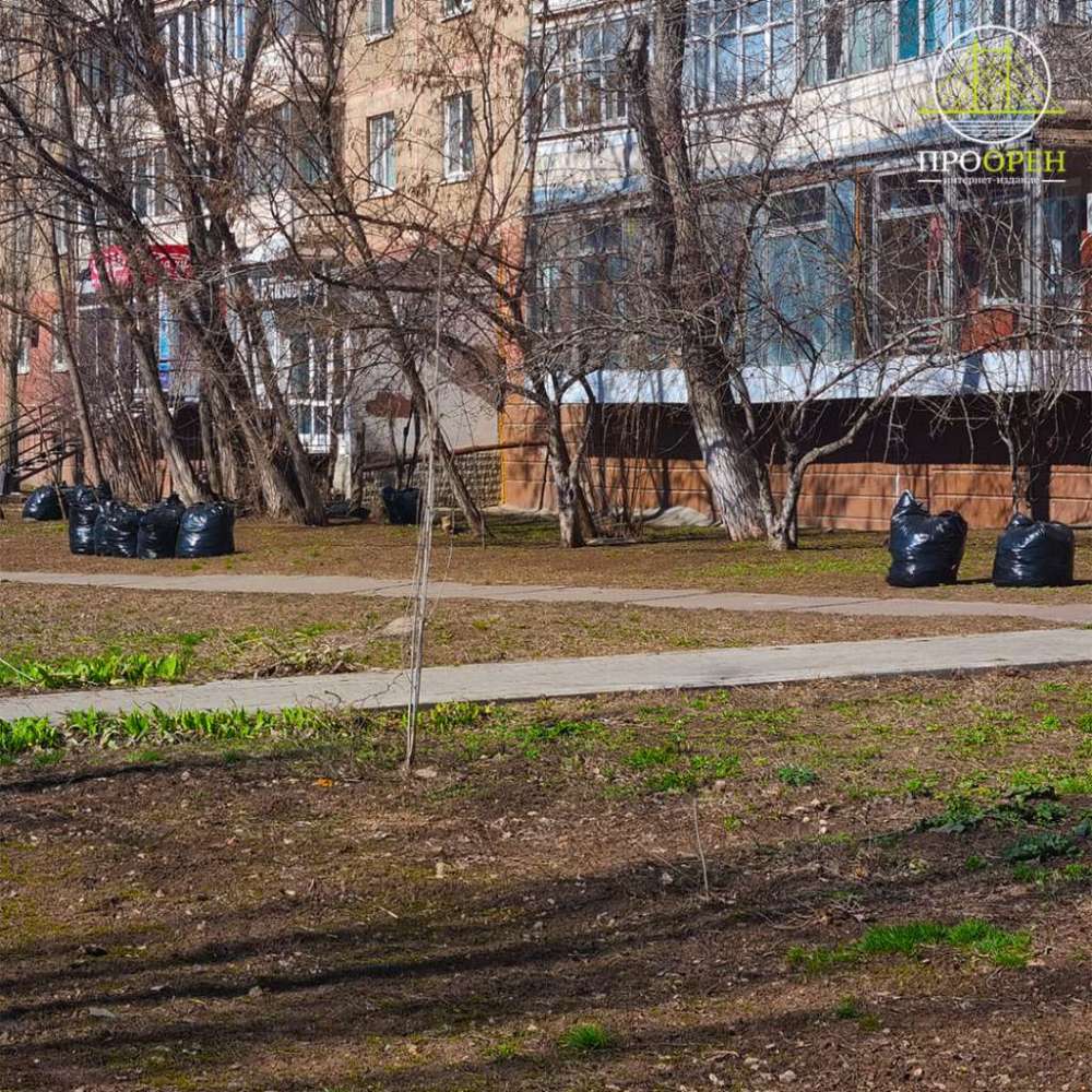 Уроженцы Сенегала будут убирать улицы Оренбурга