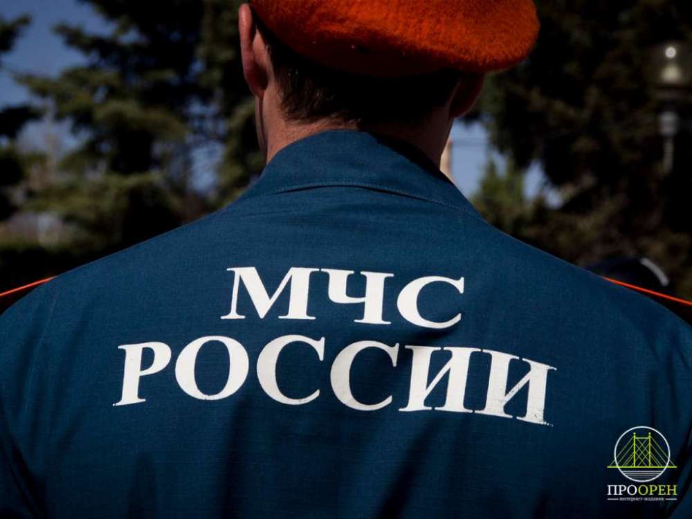 С начала сезона в Оренбуржье составили почти 300 протоколов за купание в запрещенных местах