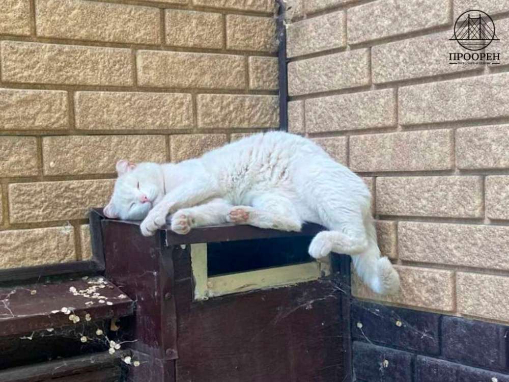 Лето не сдаётся: в Оренбуржье 2 сентября ожидается жара до +30°C